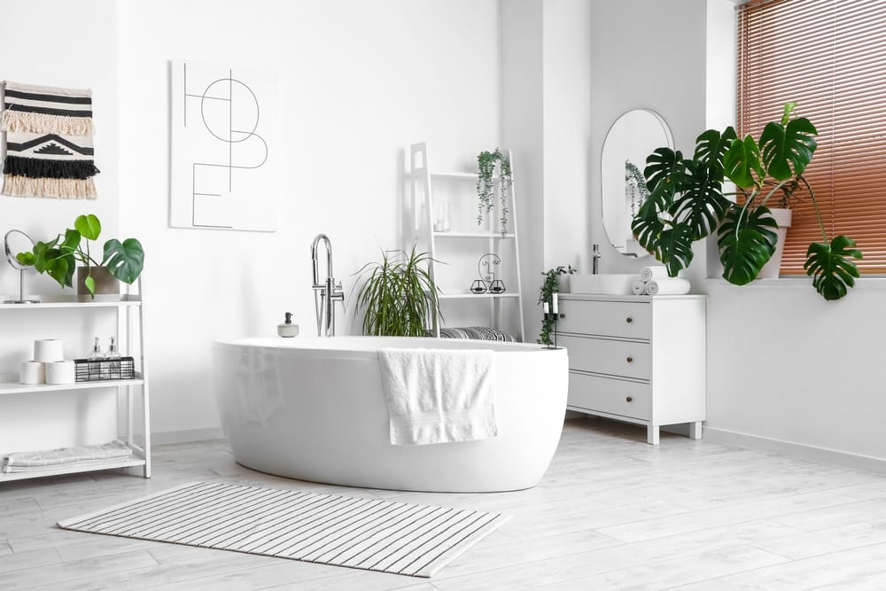 Interior,Of,Light,Bathroom,With,Bathtub,And,Monstera,Houseplant